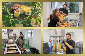 Fotocollage von unseren Räumlichkeiten und Gelände